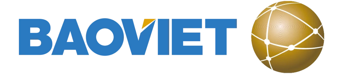 BAO VIET.png